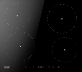 Induktionsfeld Reparatur Torgau
